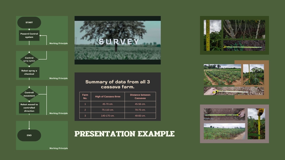 ออกแบบ infographic รับทำ infographic ราคาถูก สรุปข้อมูล จาก ฟาร์ม มันสำปะหลัง 3 แห่ง