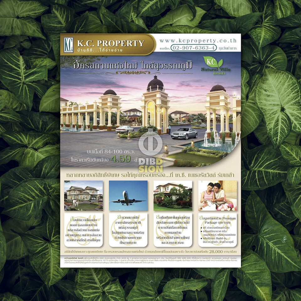 Banner โฆษณา - งานออกแบบสื่อโฆษณา ทั้งสื่อสิ่งพิมพ์และสื่อออนไลน์ - 9