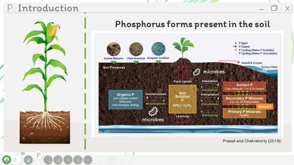 Presentation - ออกแบบ Presentation ด้วยโปรแกรม PowerPoint - 14
