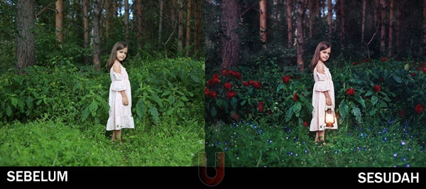 Edit Gambar & Photoshop - Edit Foto Hapus Latar Belakang + Edit Foto + Ganti Baground + Watermark - 3