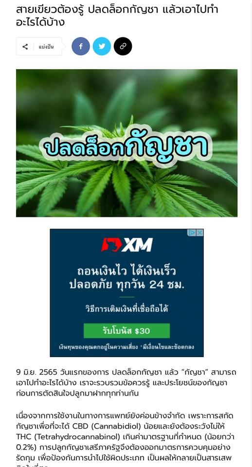 เขียนบทความ - Content Writer for Social Media and Marketing - 2