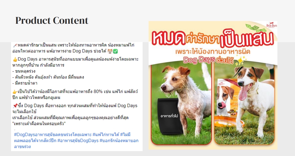 Creative & Content Marketing - Value Content & Copywriting - 5
