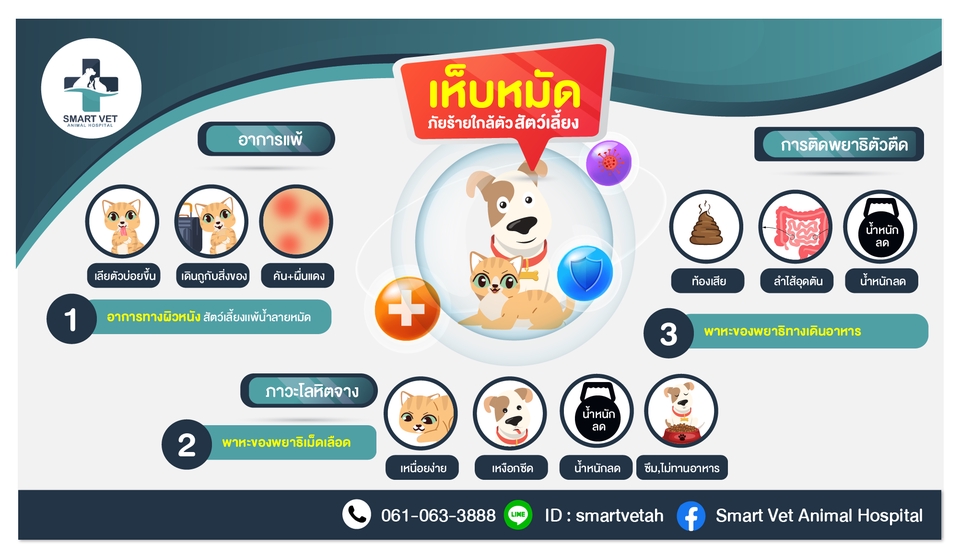 Infographics - บริการออกแบบ infographics ตอบโจทย์ลลูกค้า - 10