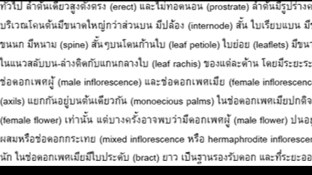 พิมพ์งาน และคีย์ข้อมูล - รายงานวิชาการ พิมพ์งาน คีย์ข้อมูล - 4