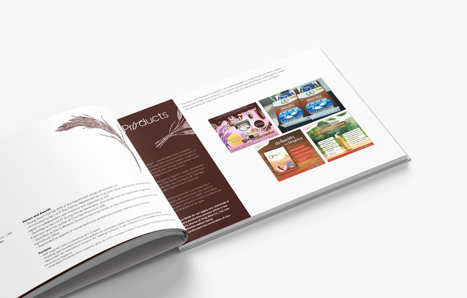Portfolio & Resume - PORTFOLIO /COMPANY PROFILE ราคาดี! - 4