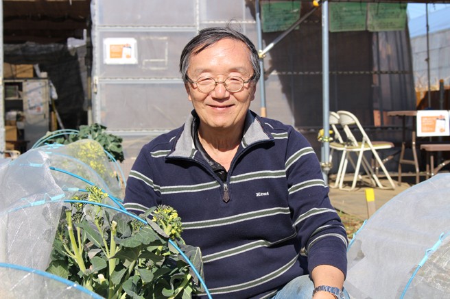 楽しもう 野菜作り 夏野菜の苗の植え付け 種まき らくらくコミュニティ