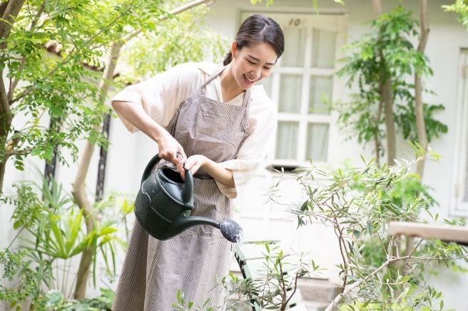 ガーデニング初心者必見 キホンの庭造り方法とは 地植え 花壇を解説 らくらくコミュニティ