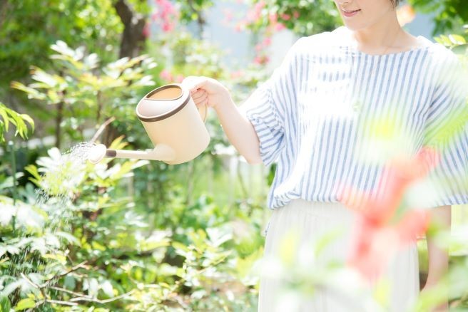 ガーデニング初心者必見 キホンの庭造り方法とは 地植え 花壇を解説 らくらくコミュニティ