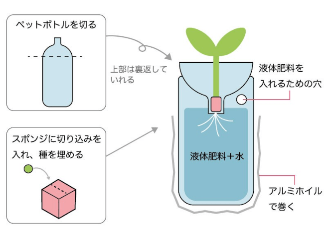 水耕栽培にはペットボトルがピッタリ！？簡単な作り方、適した