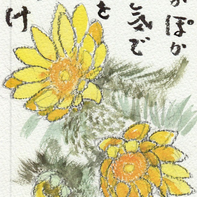 福寿草|絵画・絵手紙|らくらくコミュニティ 福寿草|絵画・絵手紙|らくらくコミュニティ