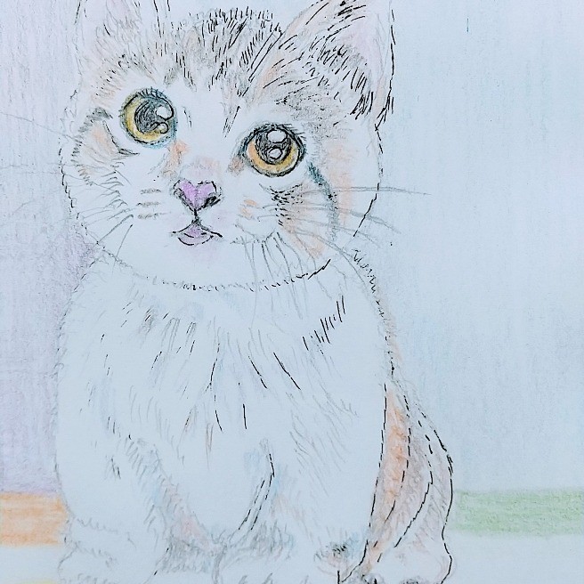 ねこちゃんです｜絵画・絵手紙｜らくらくコミュニティ