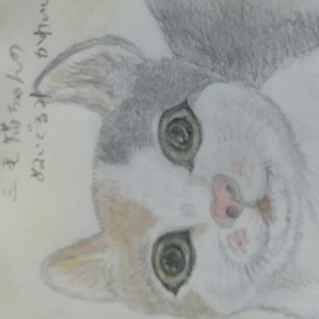 三毛猫のぬいぐるみ描きました。｜絵画・絵手紙｜らくらくコミュニティ