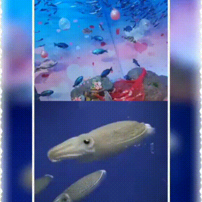 新江ノ島水族館90 恋する お魚さんから バレンタインにエール タイ イカ イルカ らくらくコミュニティ