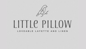 THE LITTLE PILLOW