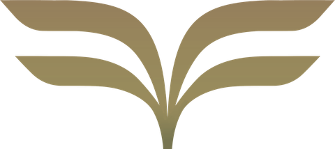 FirstClass Travel Advisors