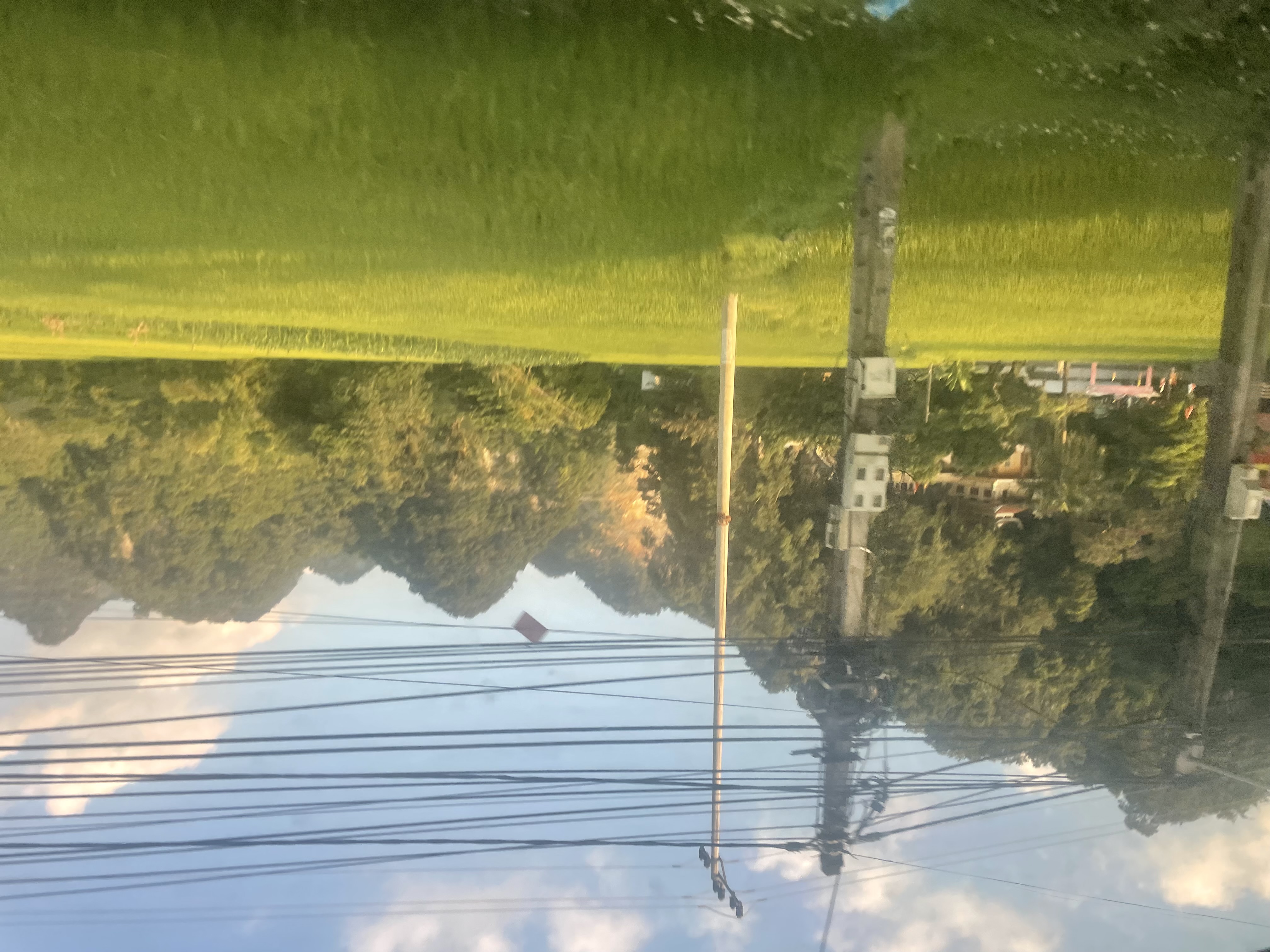 images-review
