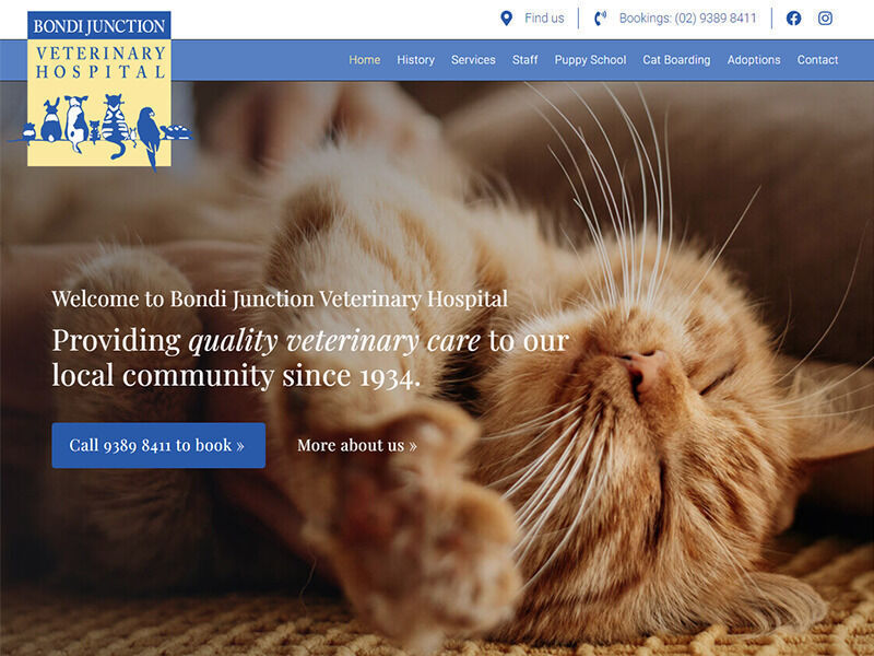 Bondi Junction Vet - Veterinary website