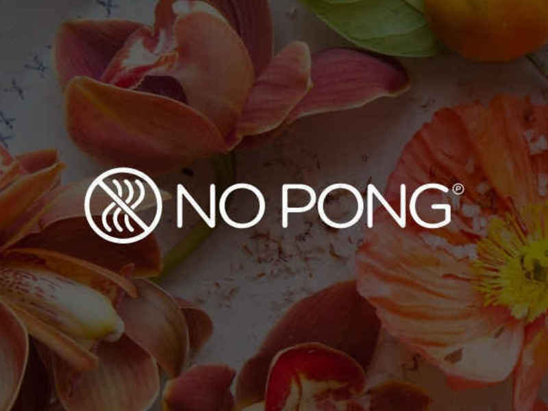 Optimizing No Pong’s website performance