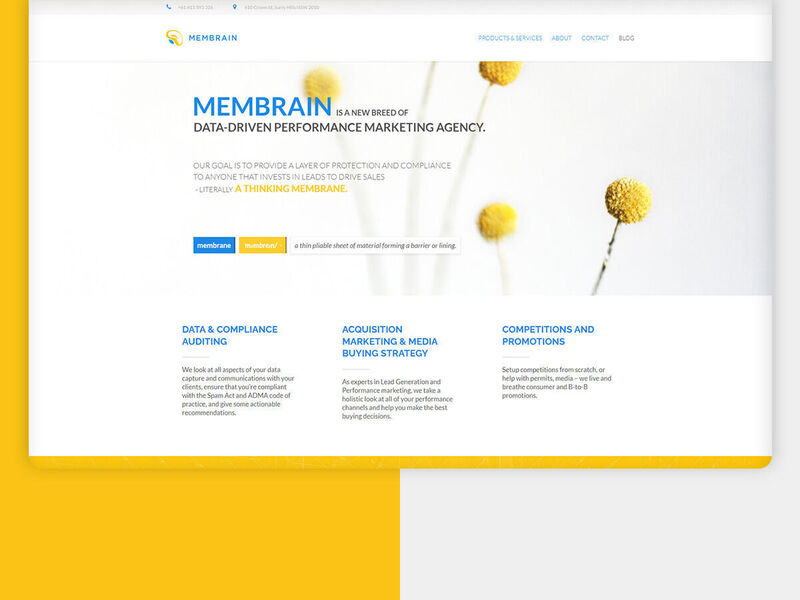 Membrain Data - Brand Identity Design