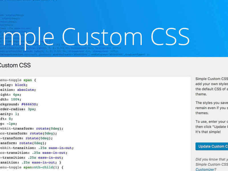 Simple Custom CSS