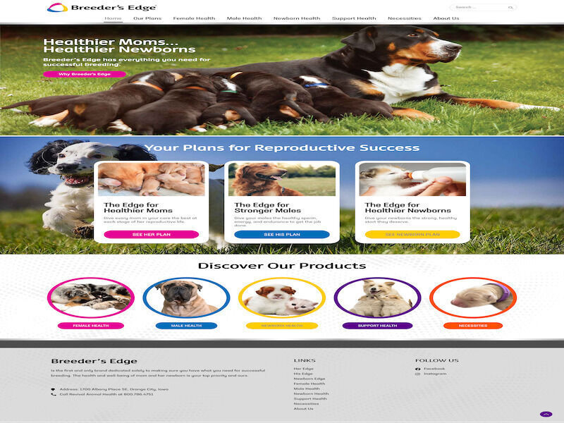 Elementor Complete Website from PSD Design