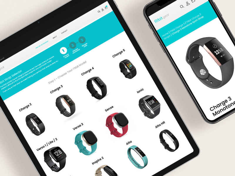 Fitbit Gear