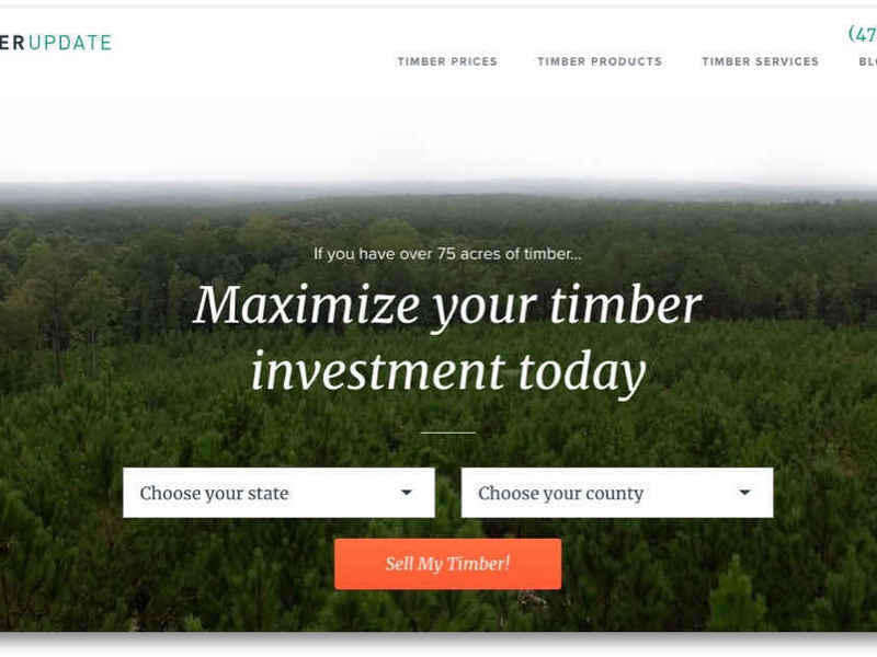 Timber Update Website Build