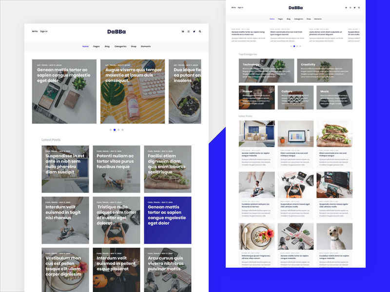 Dabba – A WordPress Theme For Blog & Shop