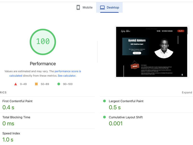 100% Google's Performance Score