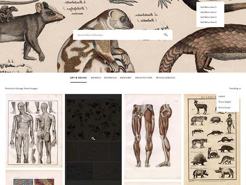 Royalty free image platform