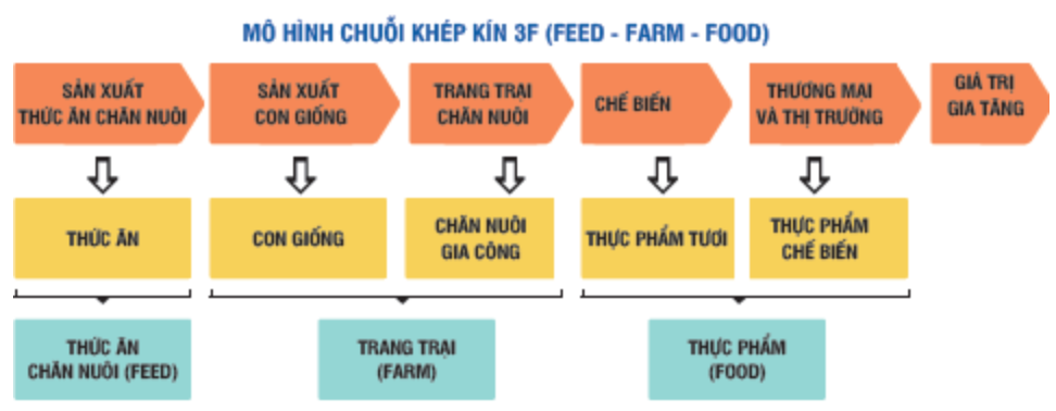 Chi tiết hơn 76 về mô hình chuỗi cung ứng của vinmart hay nhất  Tin học  Đông Hòa