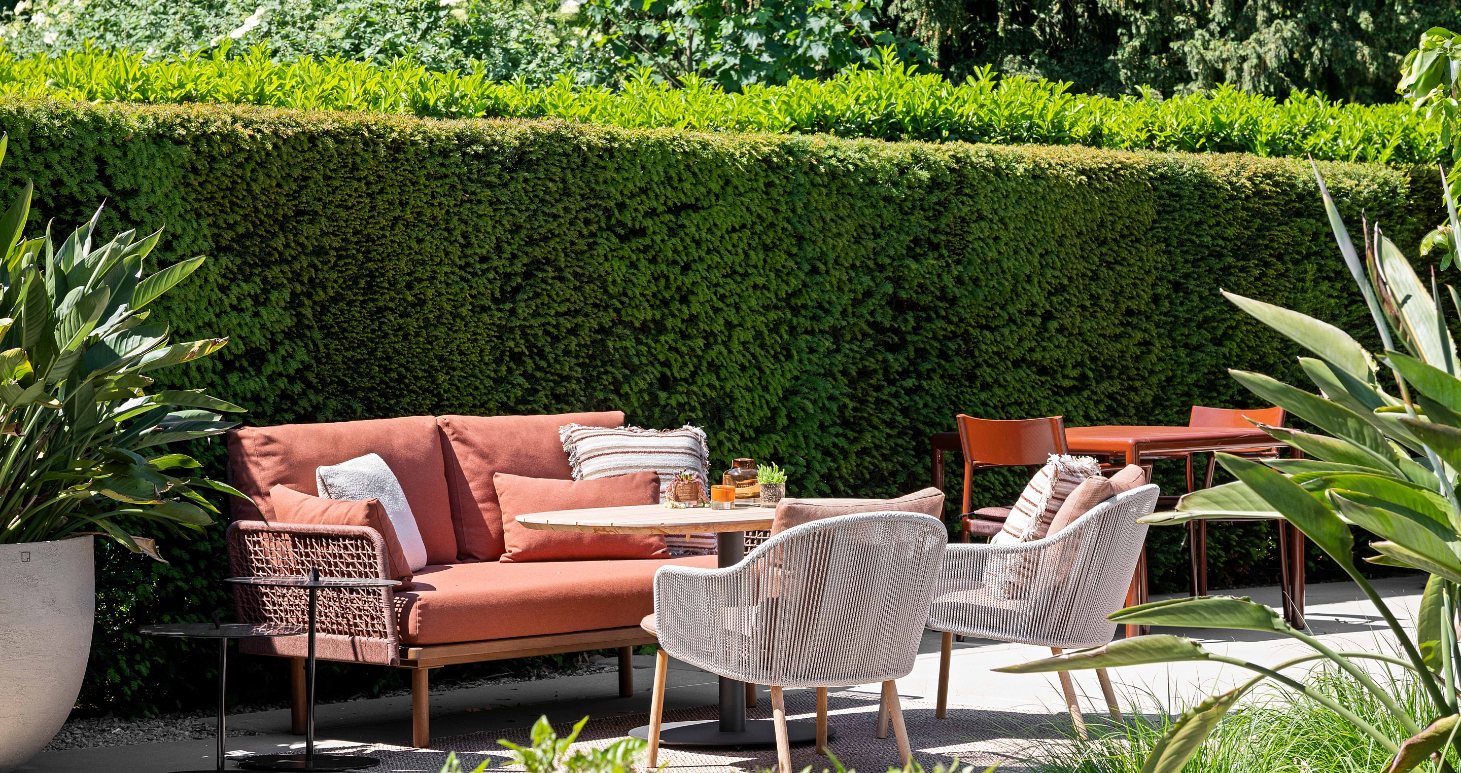 Jonah Samyn 4911 web