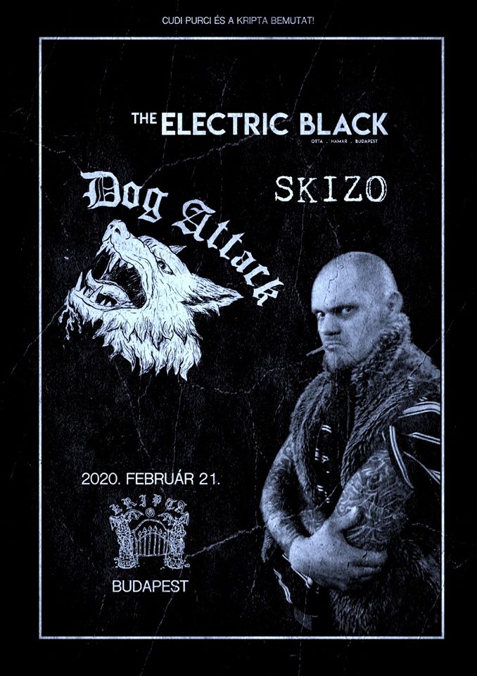 The Electric Black, Skizo, Dog Attack