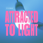 Eilema-Attracted to light (2021)