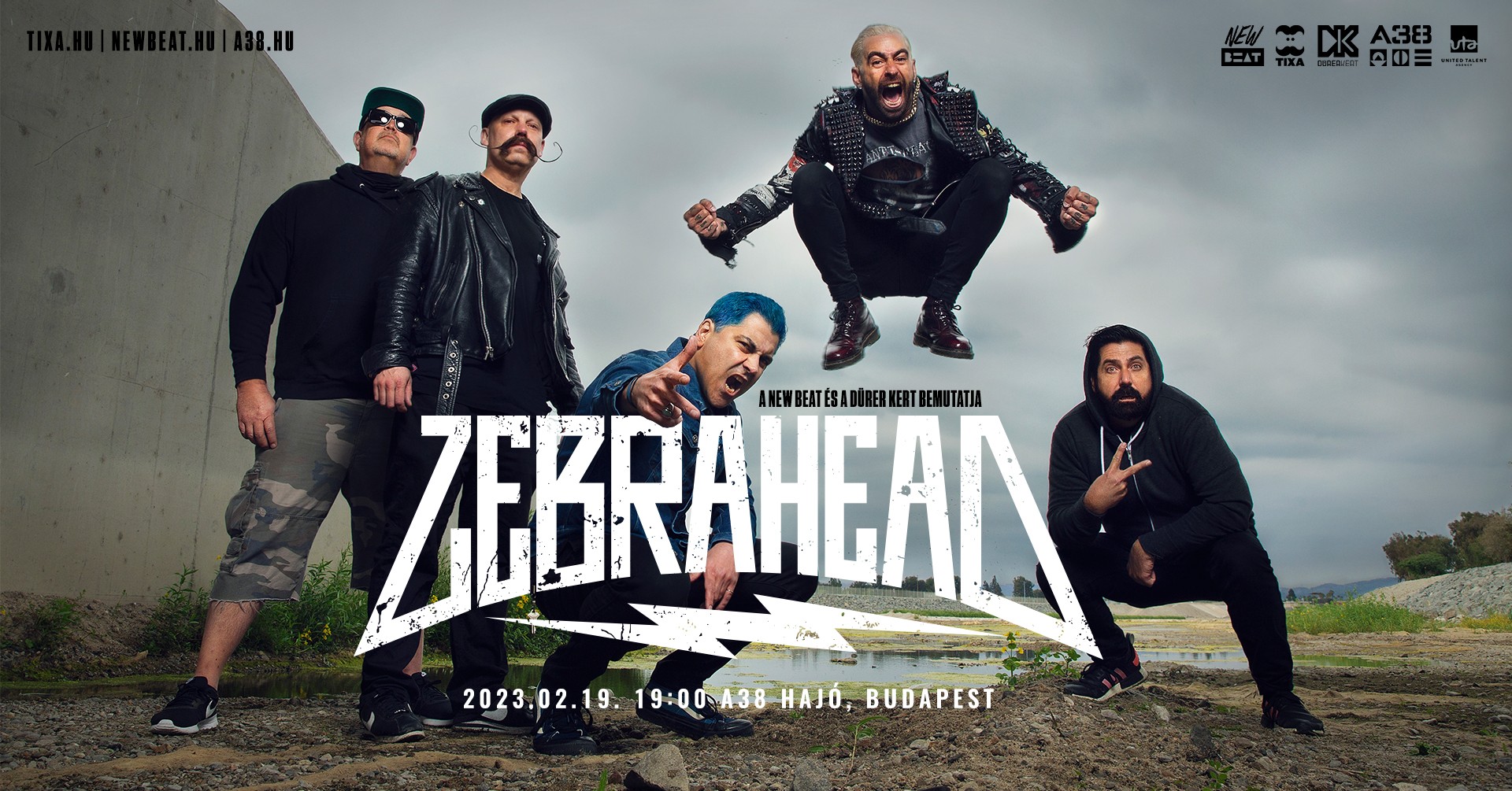 Zebrahead