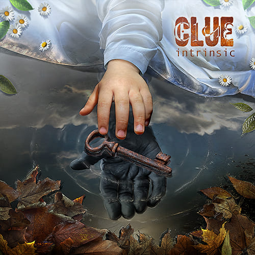 CLUE - intrinsic_cover