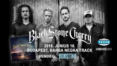 Black Stone Cherry, Dorothy