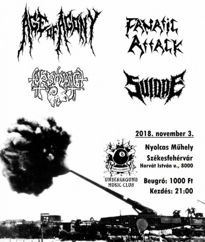 Age of Agony, Fanatic Attack, Türböwitch, Suidae