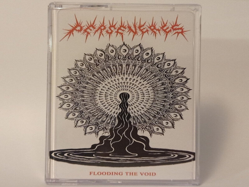 Perseveres – Flooding The Void (2023)