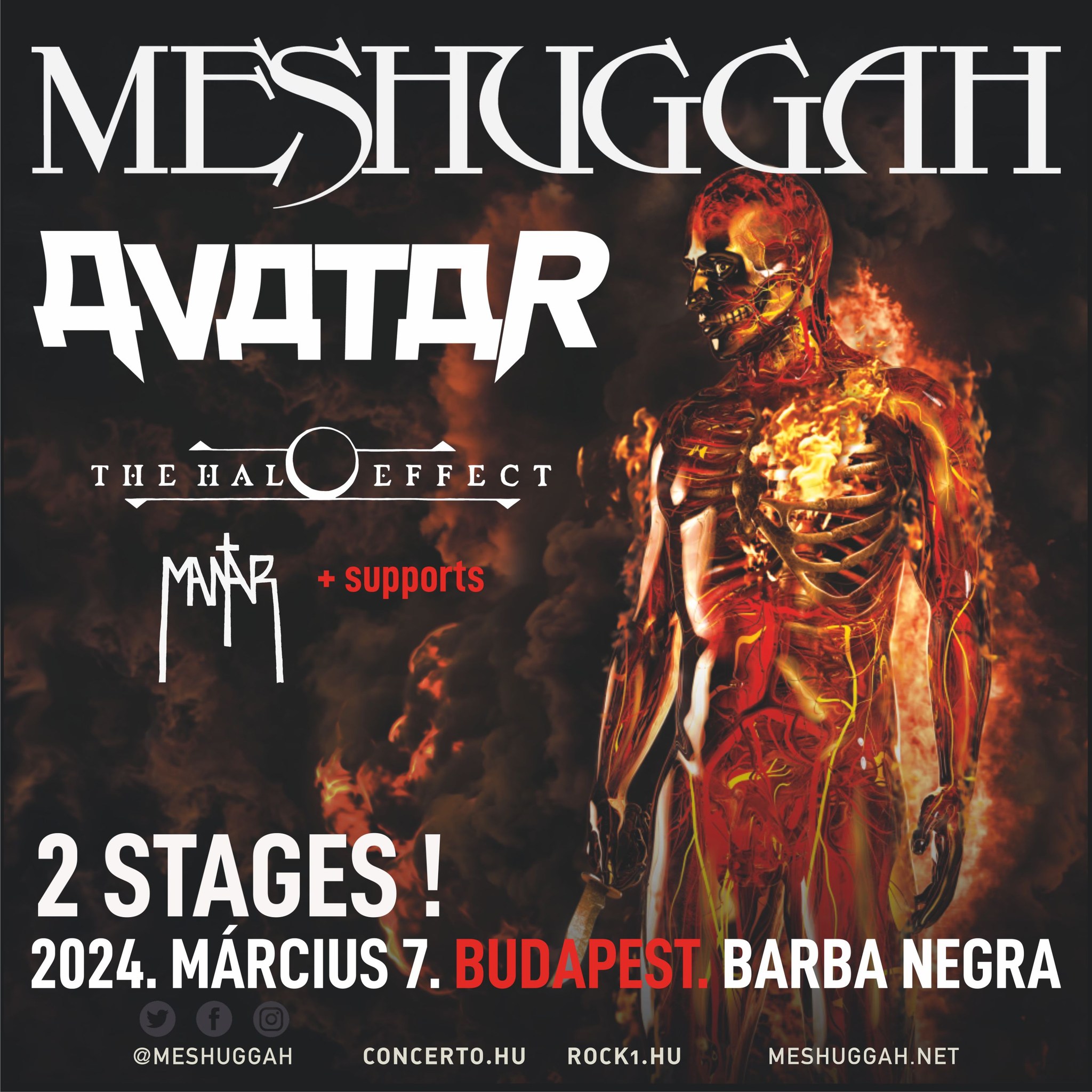 Meshuggah, Avatar, The Halo Effect, Mantar