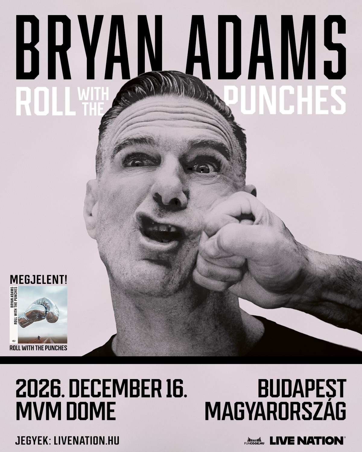 Roll With The Punches Tour 2026