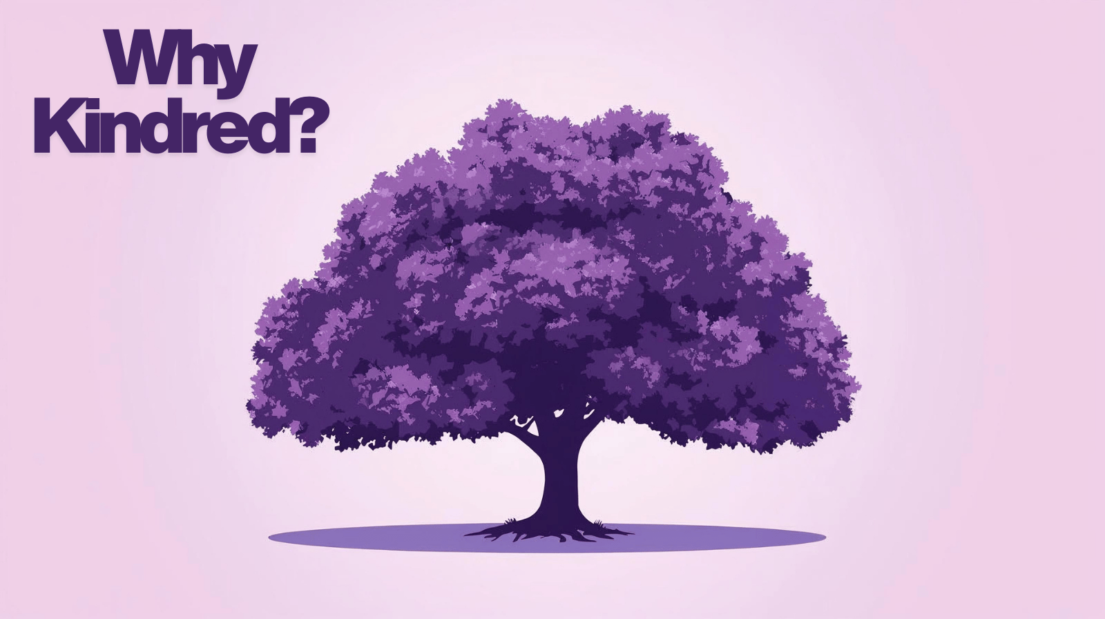 Why Kindred
