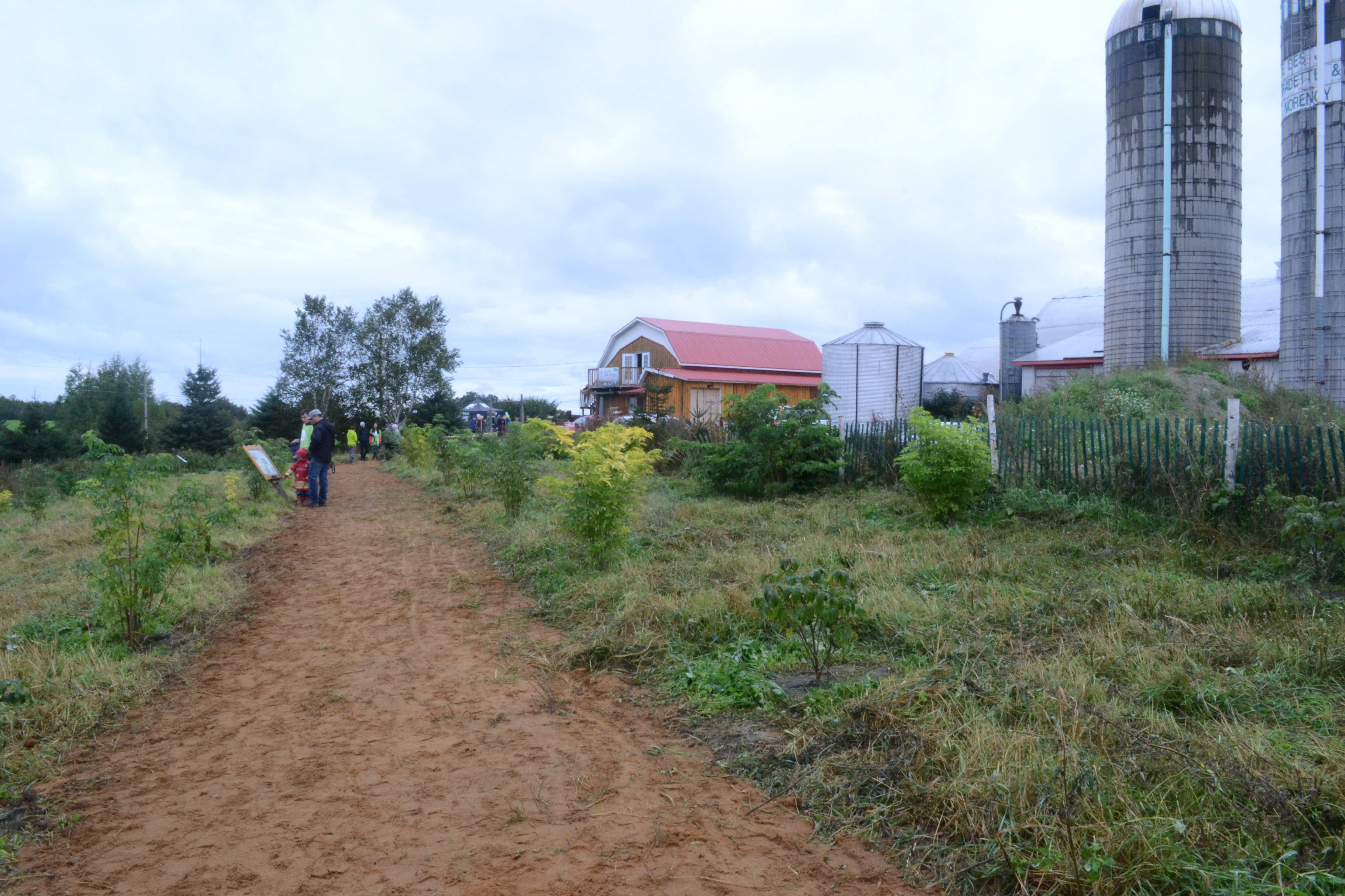 Chemin de la ferme