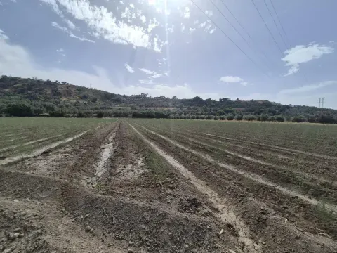 Terreno de Regadío en Venta en Loja, Granada - foto 11 de 11 (Loja)