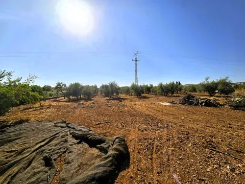 Cortijo en venta en Moraleda de Zafayona | 5.780 m² - foto 2 de 12 (Moraleda de Zafayona)