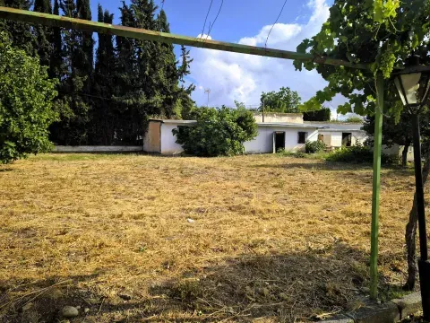 Chalet con Piscina en Venta en Moraleda, Granada - foto 4 de 12 (Moraleda de Zafayona)