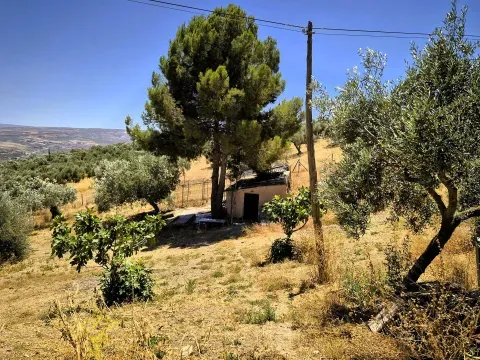 Finca rústica con piscina en venta en Loja, Granada - foto 8 de 12 (Loja)