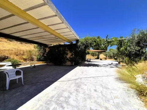 Finca rústica con piscina en venta en Loja, Granada - foto 11 de 12 (Loja)