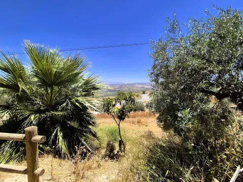 Finca rústica con piscina en venta en Loja, Granada - foto 6 de 12 (Loja)