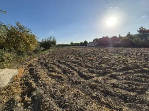 Finca rústica en venta en Loja, Granada | 4.000 m² - foto 5 de 12 (Loja)